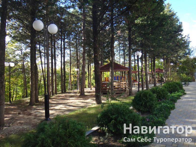 ЧАЙКА - база отдыха в пос. Новомихайловский ЧАЙКА - база отдыха в пос. Новомихайловский