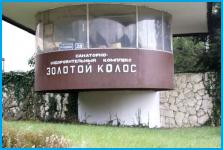 ЗОЛОТОЙ КОЛОС - детский оздоровительный комплекс в пос. Новомихайловский ЗОЛОТОЙ КОЛОС - детский оздоровительный комплекс в пос. Новомихайловский