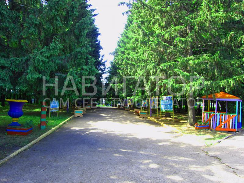 ЭЛЛАДА - санаторно-оздоровительный лагерь в пос. Новомихайловский ЭЛЛАДА - санаторно-оздоровительный лагерь в пос. Новомихайловский