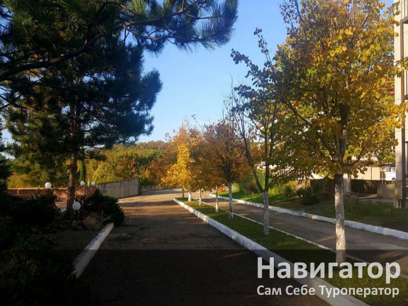 СМЕНА - санаторий в Курортные поселки Туапсе СМЕНА - санаторий в Курортные поселки Туапсе