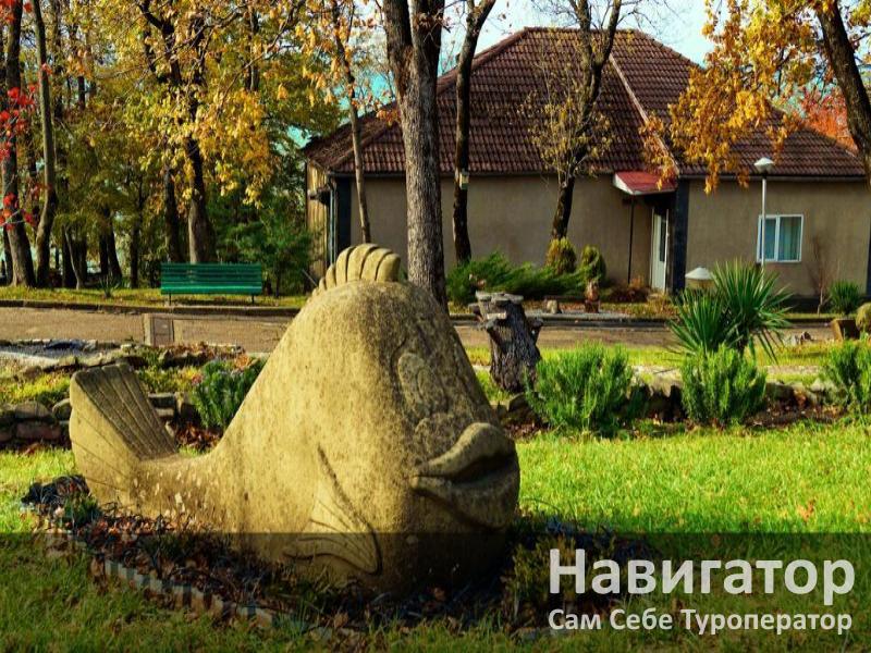 СМЕНА - санаторий в Курортные поселки Туапсе СМЕНА - санаторий в Курортные поселки Туапсе