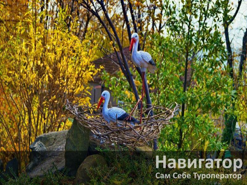 СМЕНА - санаторий в Курортные поселки Туапсе СМЕНА - санаторий в Курортные поселки Туапсе