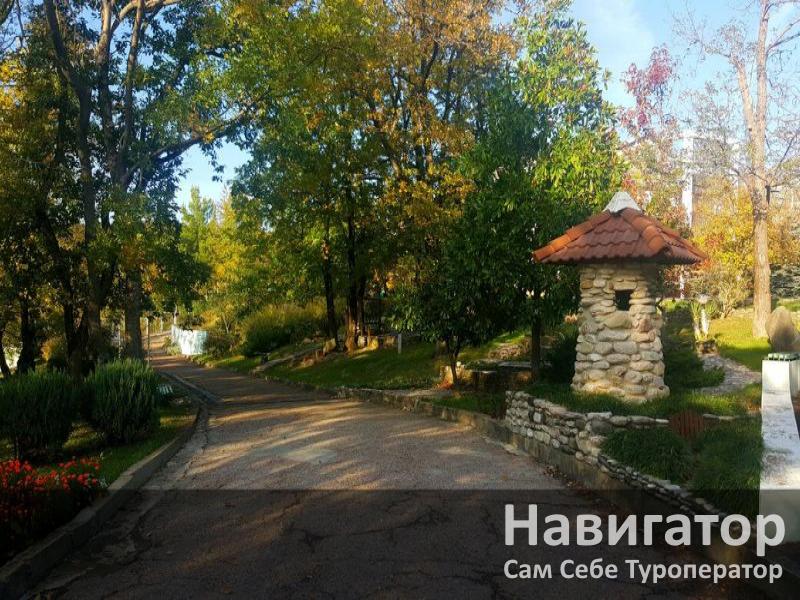 СМЕНА - санаторий в Курортные поселки Туапсе СМЕНА - санаторий в Курортные поселки Туапсе