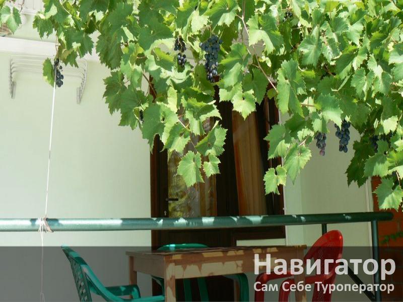 ИРИНА - гостевой дом в Геленджик центр ИРИНА - гостевой дом в Геленджик центр