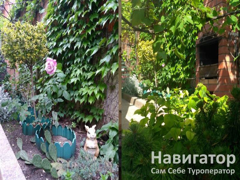 ИРИНА - гостевой дом в Геленджик центр ИРИНА - гостевой дом в Геленджик центр