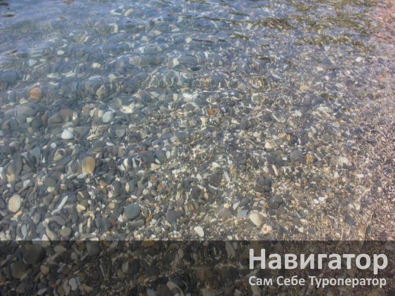 ЗОЛОТОЙ ПЕЛИКАН - гостевой дом в Геленджик (Тонкий мыс) ЗОЛОТОЙ ПЕЛИКАН - гостевой дом в Геленджик (Тонкий мыс)