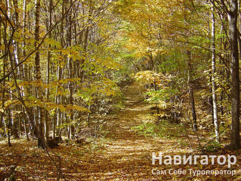БУРНЫЙ- гостевой двор в Мостовской район БУРНЫЙ- гостевой двор в Мостовской район