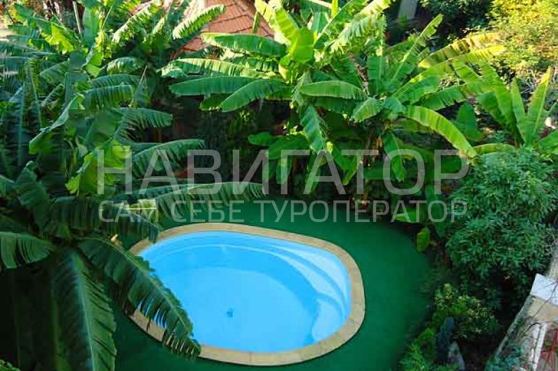БАНАНОВЫЙ РАЙ - пансионат в Адлер БАНАНОВЫЙ РАЙ - пансионат в Адлер