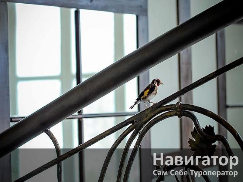 VILLA CLUB - гостиница в Геленджик (Тонкий мыс)