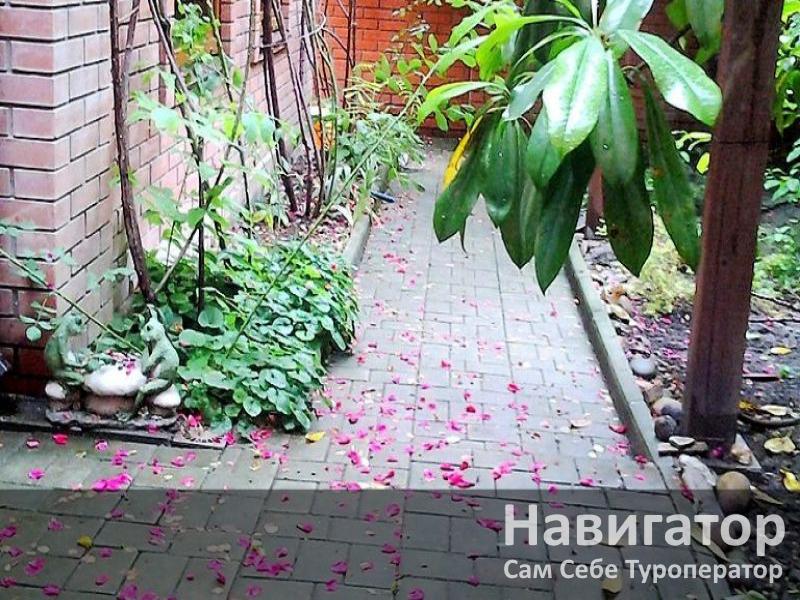 АНГЕЛ - гостевой дом в Геленджик (Толстый мыс) АНГЕЛ - гостевой дом в Геленджик (Толстый мыс)