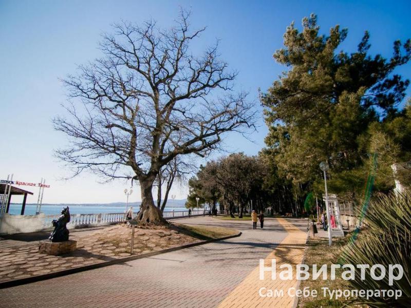 АЛЕКСАНДРИЯ - отель в Геленджик центр
