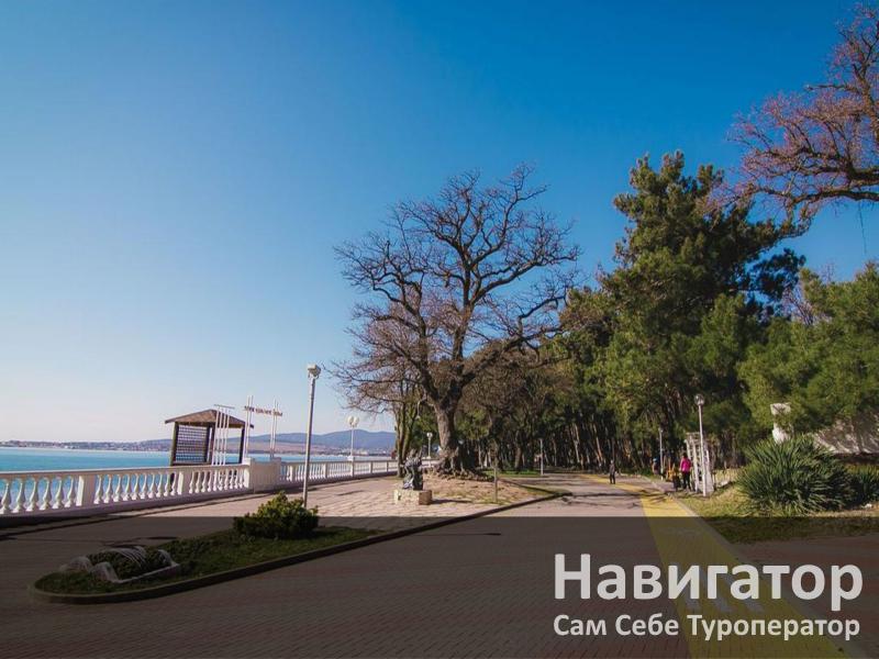 АЛЕКСАНДРИЯ - отель в Геленджик центр АЛЕКСАНДРИЯ - отель в Геленджик центр