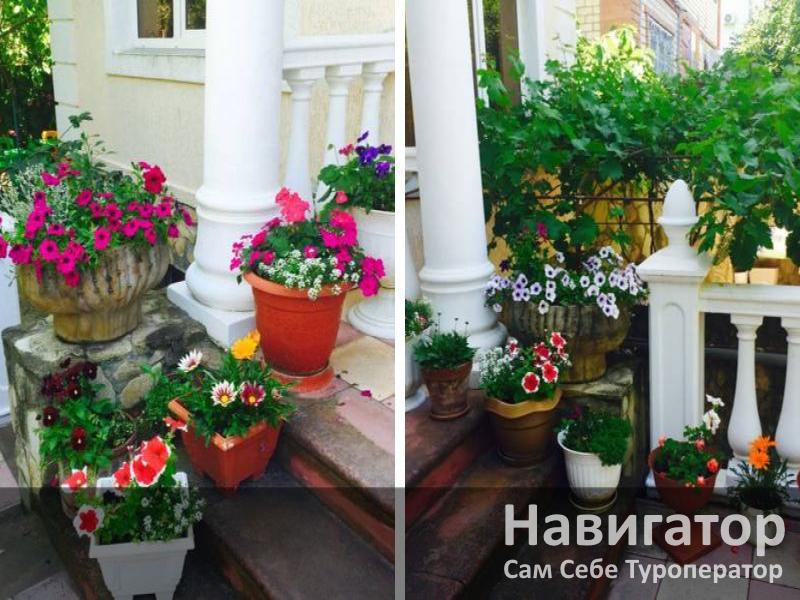 ВАЛЕНТИНА - гостевой дом в Геленджик (Тонкий мыс) ВАЛЕНТИНА - гостевой дом в Геленджик (Тонкий мыс)