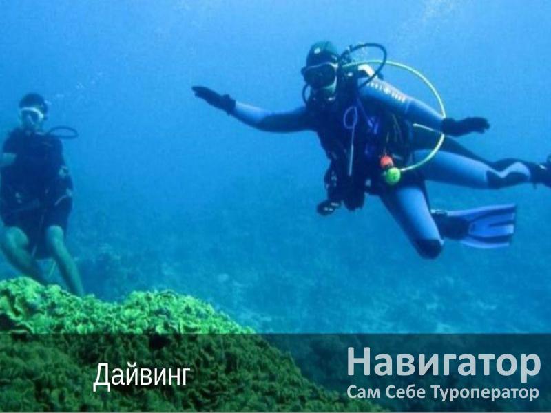АПАРТАМЕНТЫ - 1-но комнатная квартира в Ольгинка