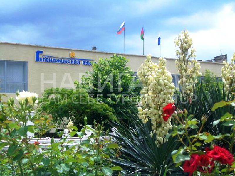 ГЕЛЕНДЖИКСКАЯ БУХТА - пансионат в Геленджик центр
