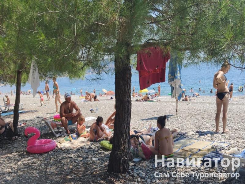 АНДРЕЙ - гостевой дом в Пицунда АНДРЕЙ - гостевой дом в Пицунда
