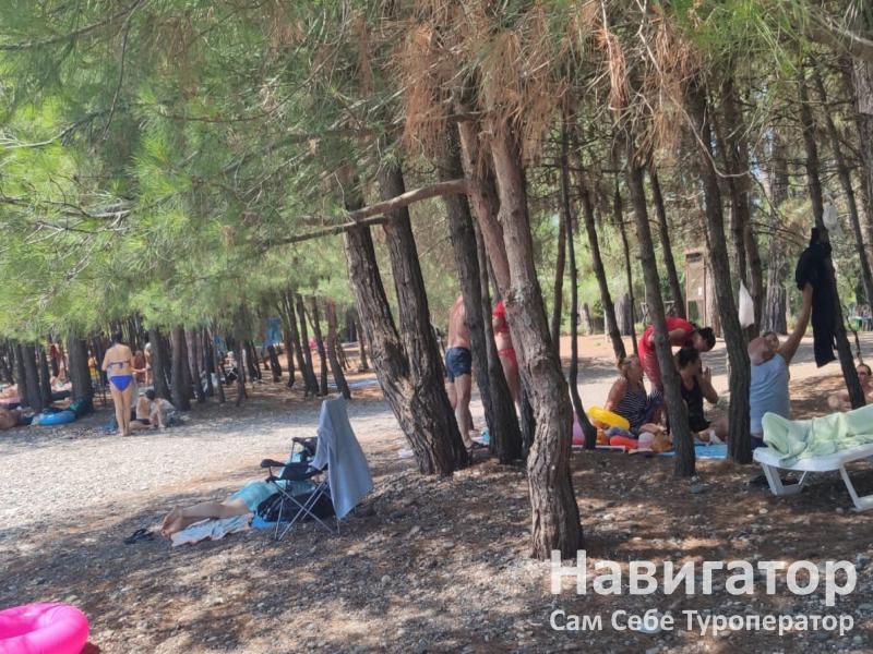 АНДРЕЙ - гостевой дом в Пицунда АНДРЕЙ - гостевой дом в Пицунда