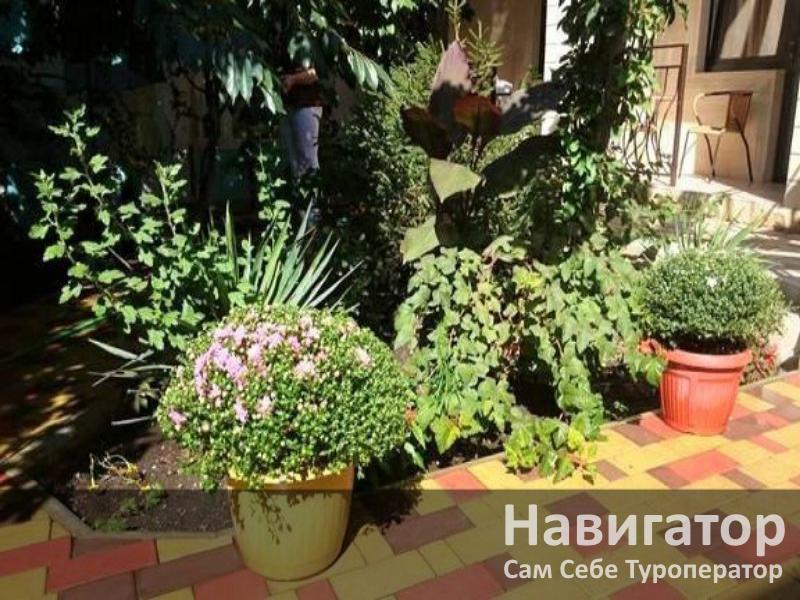 ЯНТАРЬ - гостевой дом в Геленджик (Толстый мыс) ЯНТАРЬ - гостевой дом в Геленджик (Толстый мыс)