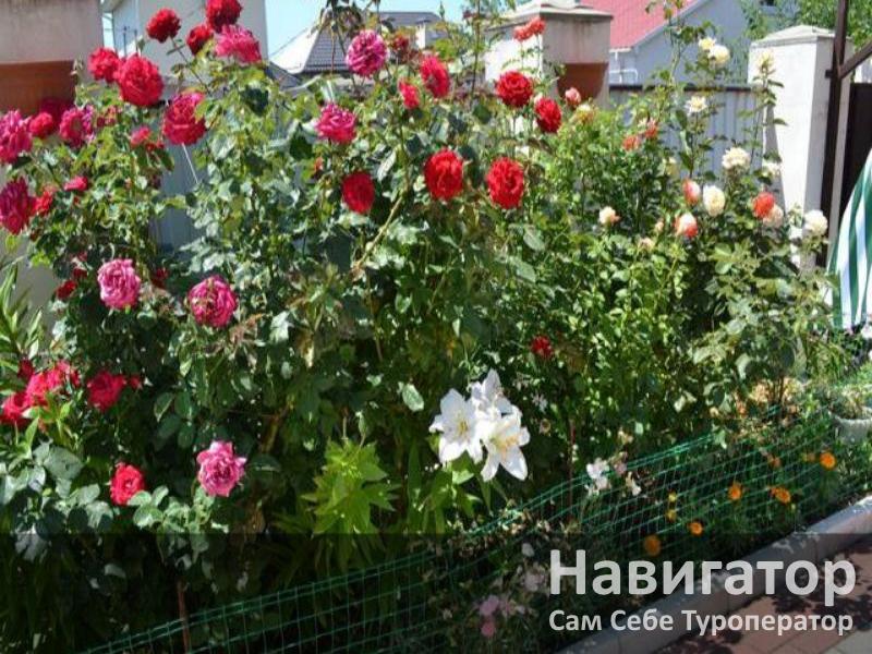 СТРАННИК - гостевой дом в Геленджик центр СТРАННИК - гостевой дом в Геленджик центр