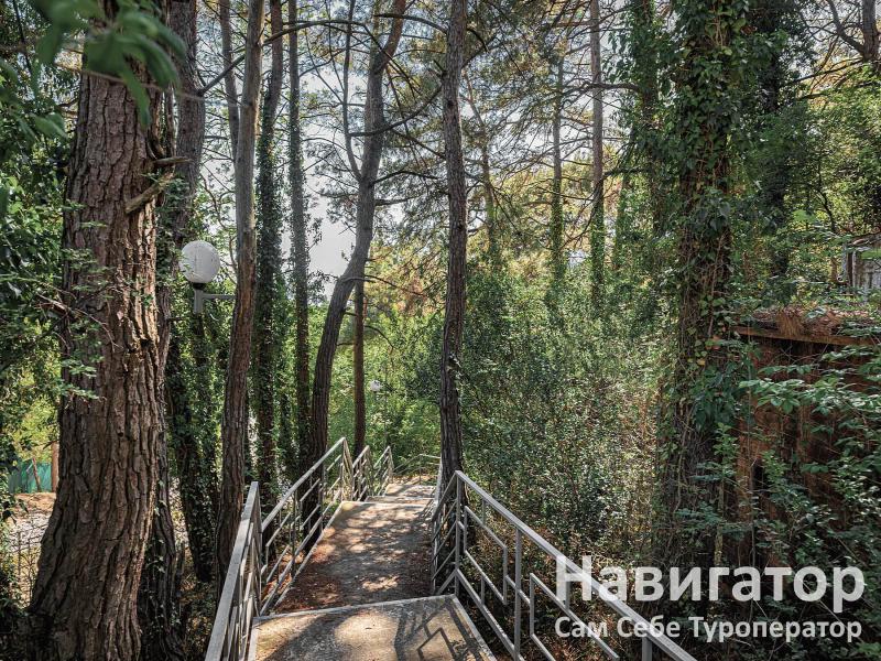 Сафоново - гостиница в Курортные поселки Геленджика