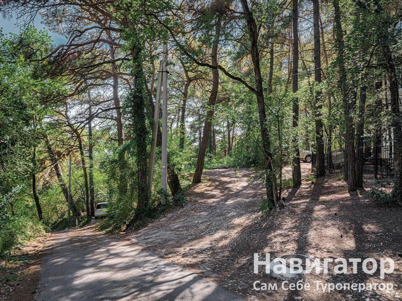 Сафоново - гостиница в Курортные поселки Геленджика