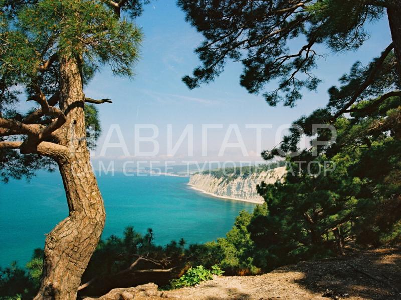ЗОКИО - база отдыха в Курортные поселки Геленджика ЗОКИО - база отдыха в Курортные поселки Геленджика