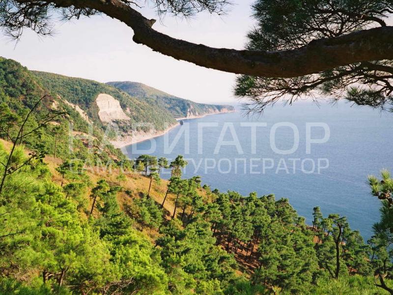 ЗОКИО - база отдыха в Курортные поселки Геленджика ЗОКИО - база отдыха в Курортные поселки Геленджика