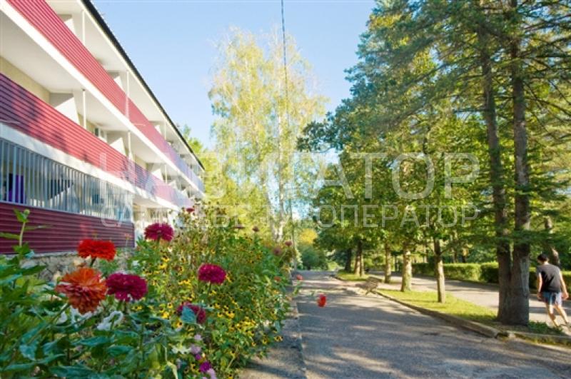 ЮЖНЫЙ - пансионат в Курортные поселки Геленджика ЮЖНЫЙ - пансионат в Курортные поселки Геленджика