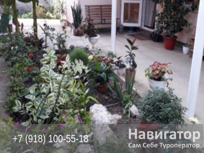 АЛЕНА - гостевой дом в Село Великовечное АЛЕНА - гостевой дом в Село Великовечное