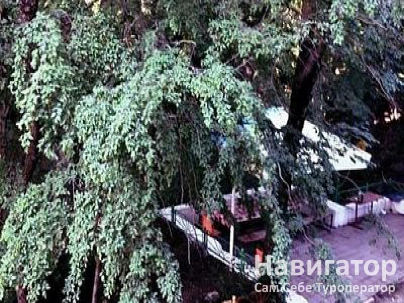 МИР - база отдыха в Широкая балка МИР - база отдыха в Широкая балка