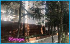 АЛЬБАТРОС - база отдыха в Широкая балка АЛЬБАТРОС - база отдыха в Широкая балка