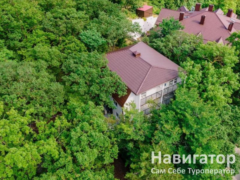 ЛЕСНАЯ СКАЗКА - база отдыха в Широкая балка
