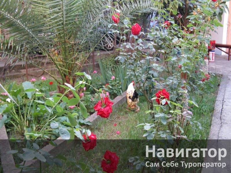 АЛЕКСАНДР - гостевой дом в Адлер АЛЕКСАНДР - гостевой дом в Адлер