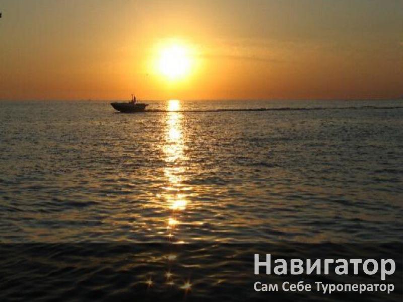 АЛЕКСАНДР - гостевой дом в Адлер АЛЕКСАНДР - гостевой дом в Адлер