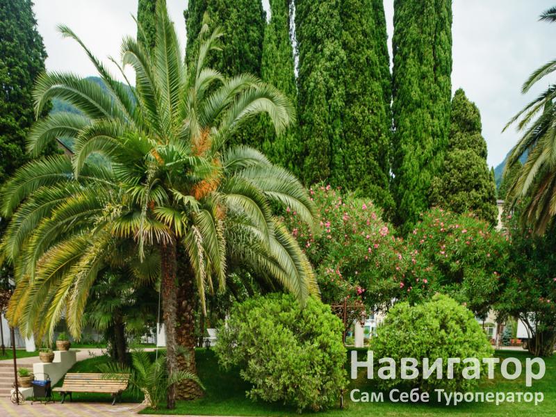 ЧЕЛЮСКИНЦЕВ - пансионат в Гагра ЧЕЛЮСКИНЦЕВ - пансионат в Гагра