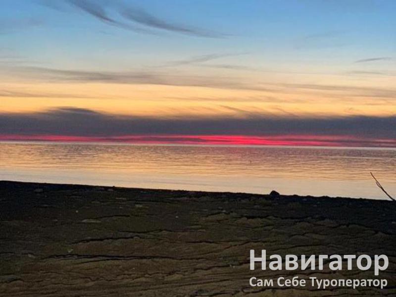 СВЕТЛАНА - гостевой дом в Пицунда СВЕТЛАНА - гостевой дом в Пицунда