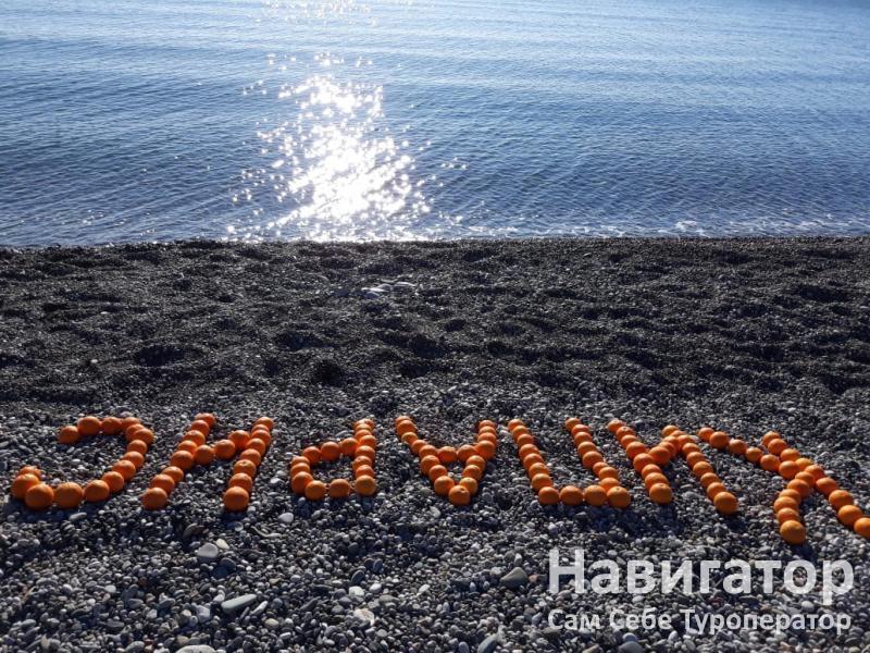КИПАРИС - база отдыха в Пицунда КИПАРИС - база отдыха в Пицунда