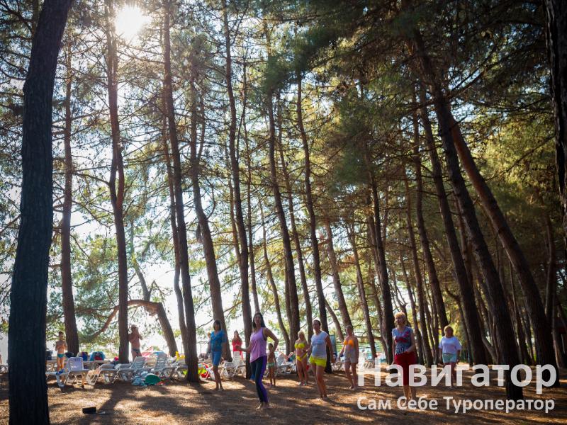 ЛИТФОНД - пансионат в Пицунда