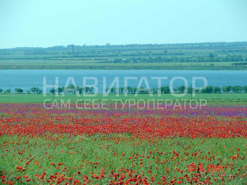 2496 - гостиница в Кучугуры 2496 - гостиница в Кучугуры