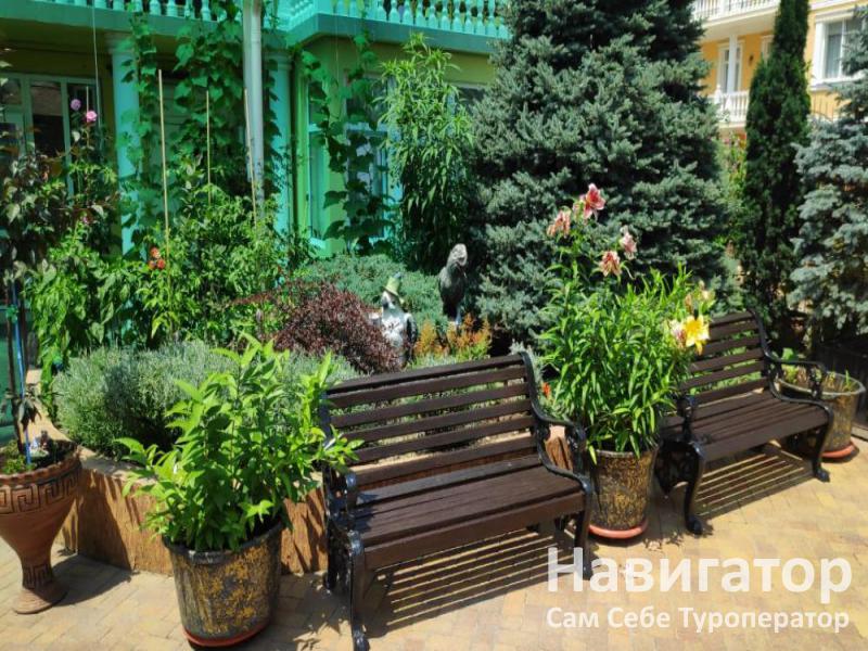 ЗЕЛЕНЫЙ ПОПУГАЙ - отель в Адлер ЗЕЛЕНЫЙ ПОПУГАЙ - отель в Адлер