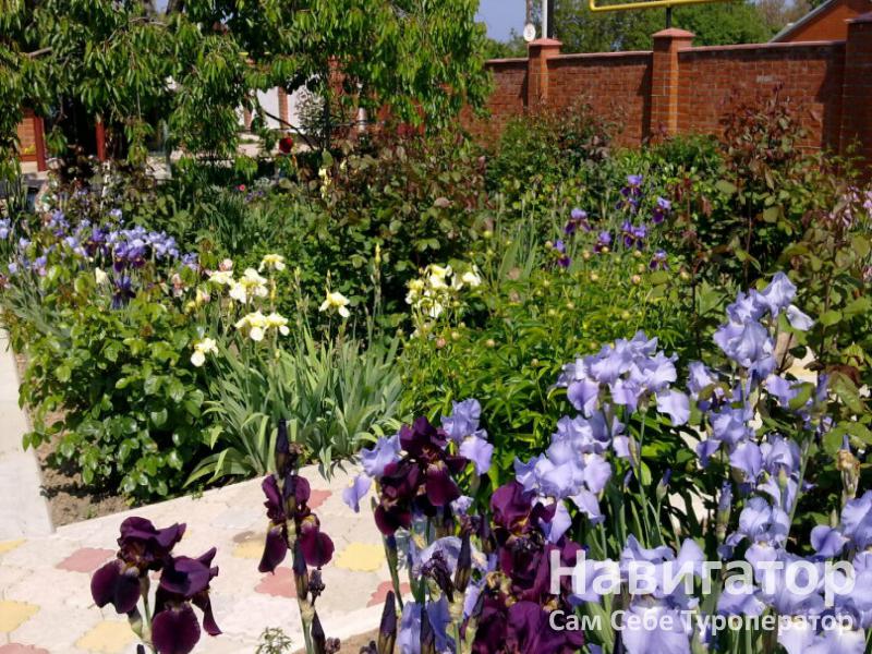 БРИЗ - пансионат в Кучугуры БРИЗ - пансионат в Кучугуры