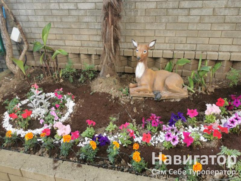 РАЙСКИЙ УГОЛОК - гостевой дом в Адлер РАЙСКИЙ УГОЛОК - гостевой дом в Адлер