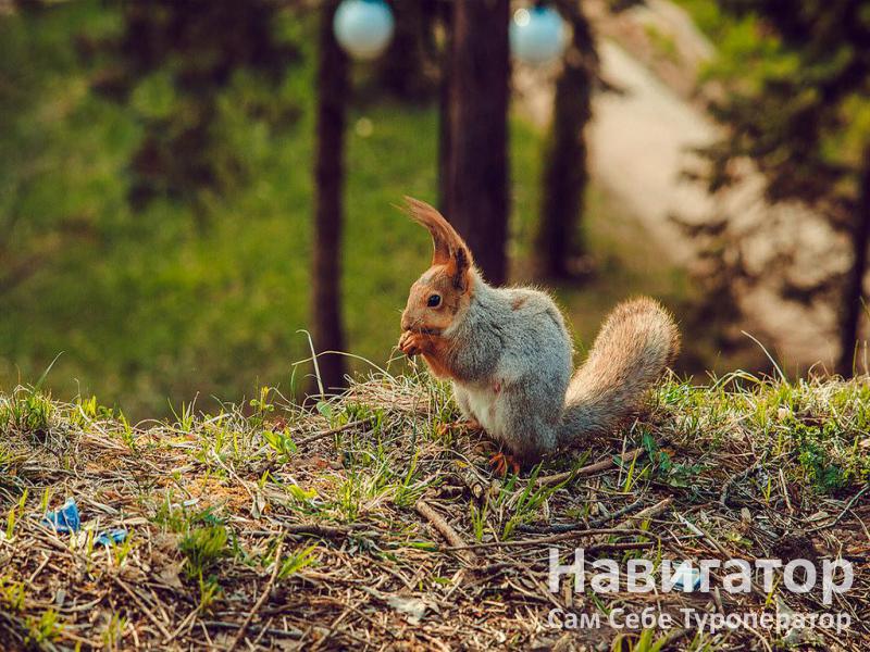 ЦЕЛЕБНЫЙ НАРЗАН - санаторий в Кисловодск ЦЕЛЕБНЫЙ НАРЗАН - санаторий в Кисловодск