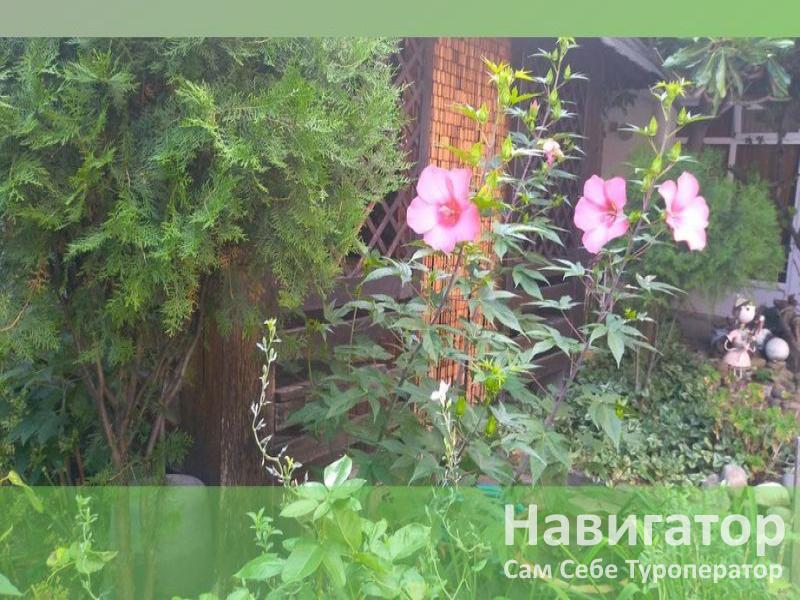 НАТАЛИ - гостевой дом в Кабардинка НАТАЛИ - гостевой дом в Кабардинка
