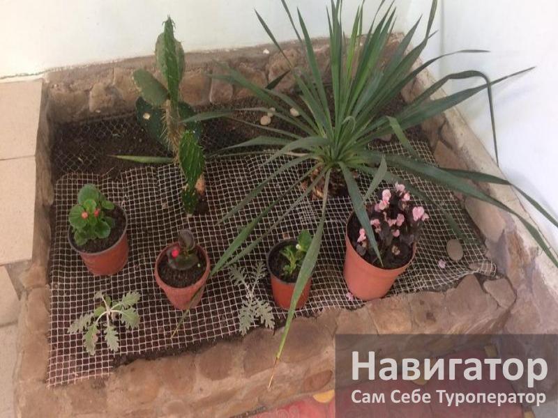 ВЕРОНА – гостевой дом в Адлер