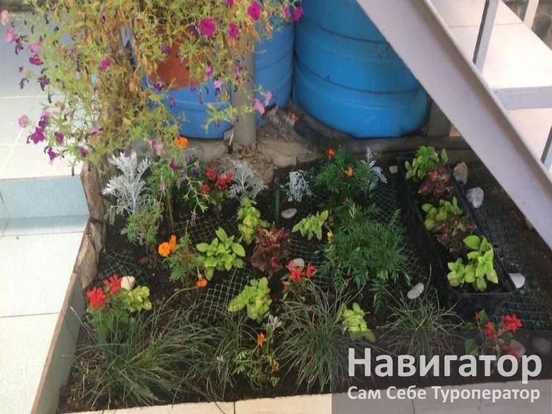 ВЕРОНА – гостевой дом в Адлер