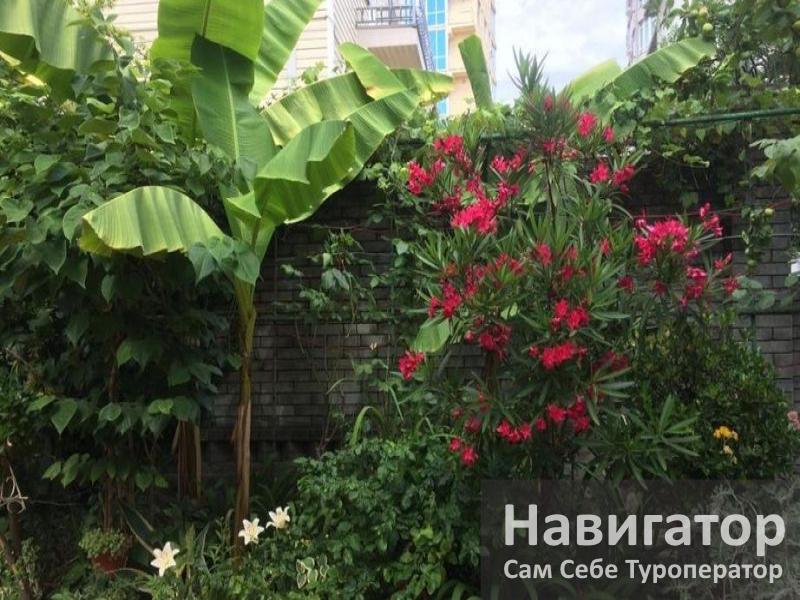ВЕРОНА – гостевой дом в Адлер