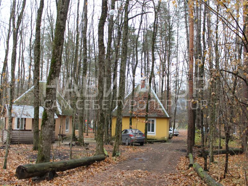 ЛЕСНАЯ - база отдыха в Абинский район ЛЕСНАЯ - база отдыха в Абинский район