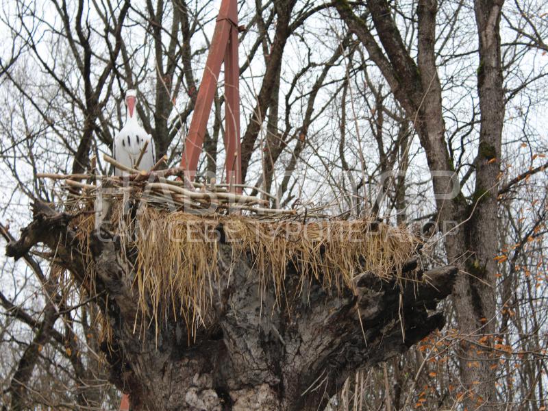 ЛЕСНАЯ - база отдыха в Абинский район ЛЕСНАЯ - база отдыха в Абинский район
