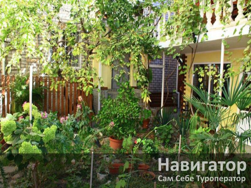 LOVELY PLACE - гостевой дом в Геленджик (Толстый мыс) LOVELY PLACE - гостевой дом в Геленджик (Толстый мыс)